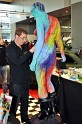 ABF 2010   051